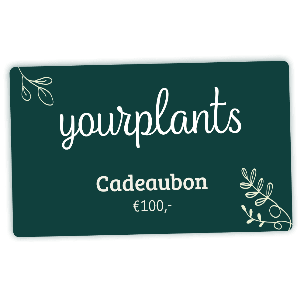 Digitale Plantencadeaubon €100 - YourPlants