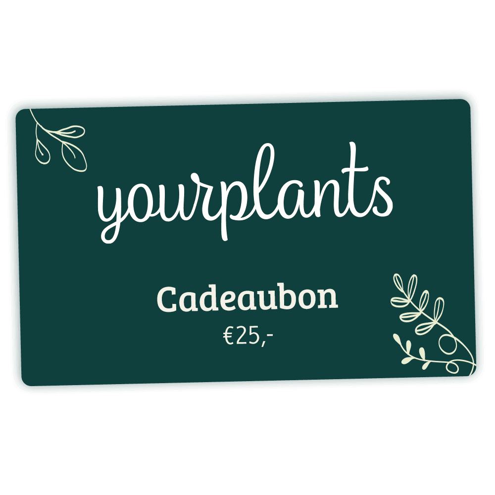 Digitale Plantencadeaubon €25 - YourPlants