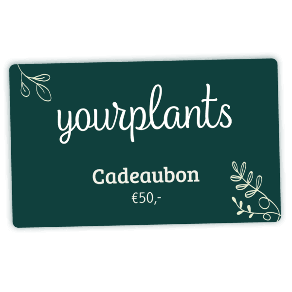 Digitale Plantencadeaubon €50 - YourPlants