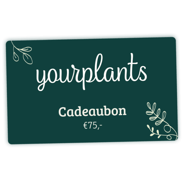 Digitale Plantencadeaubon €75 - YourPlants