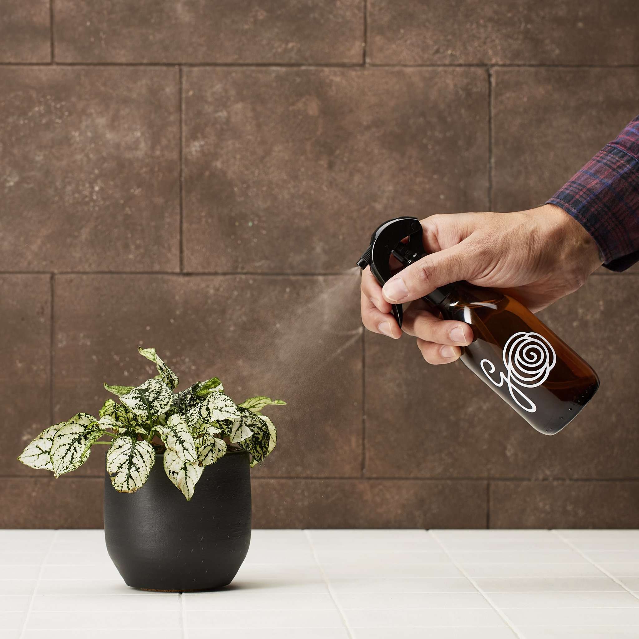 Kamerplant mister | Glazen fles - Image 2